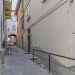 Casa Camelia