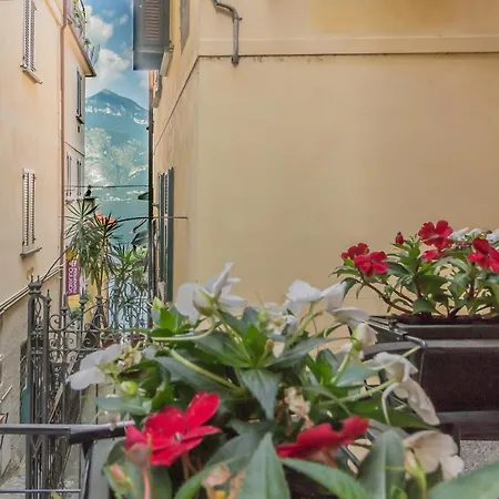 Casa Camelia Διαμέρισμα *