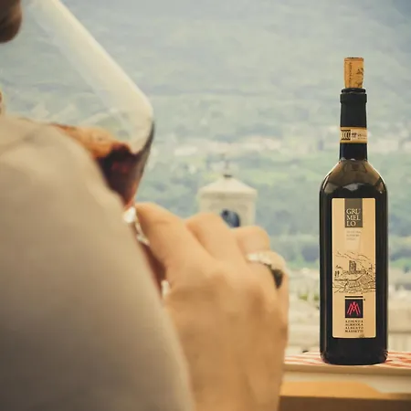 Casa Camelia Βαρένα