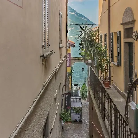 Apartamento Casa Camelia *