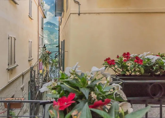 Casa Camelia Apartman *